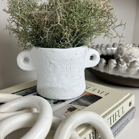 White double handled plant pot