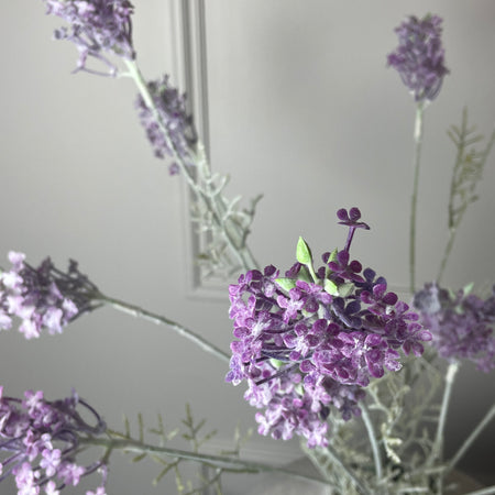 Purple Meadow Flower Stem