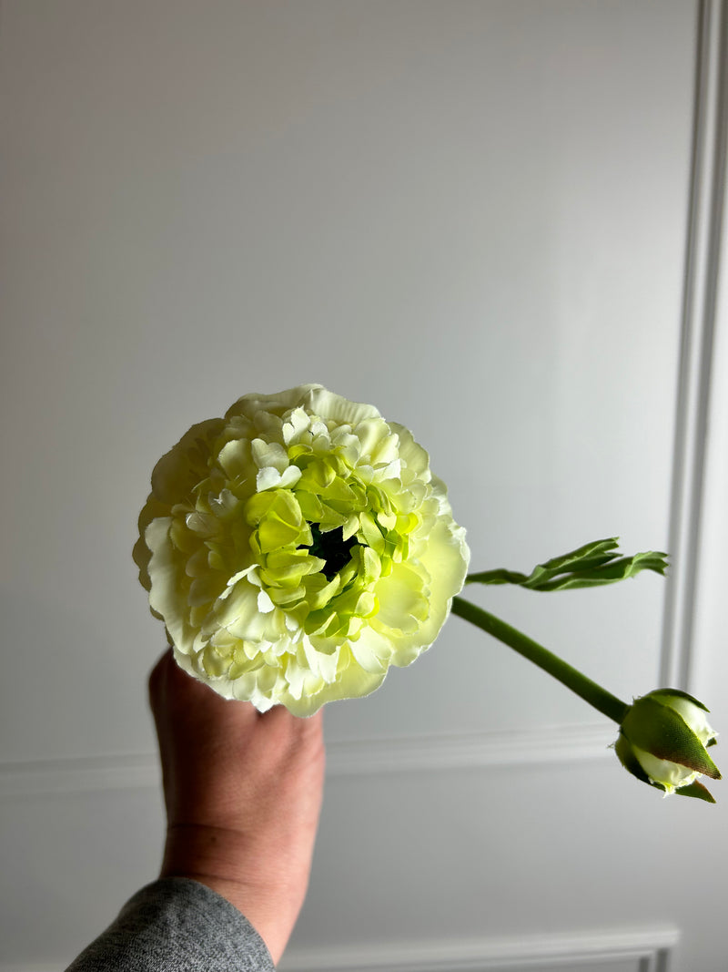Green & White Ranunculus Spray Stem