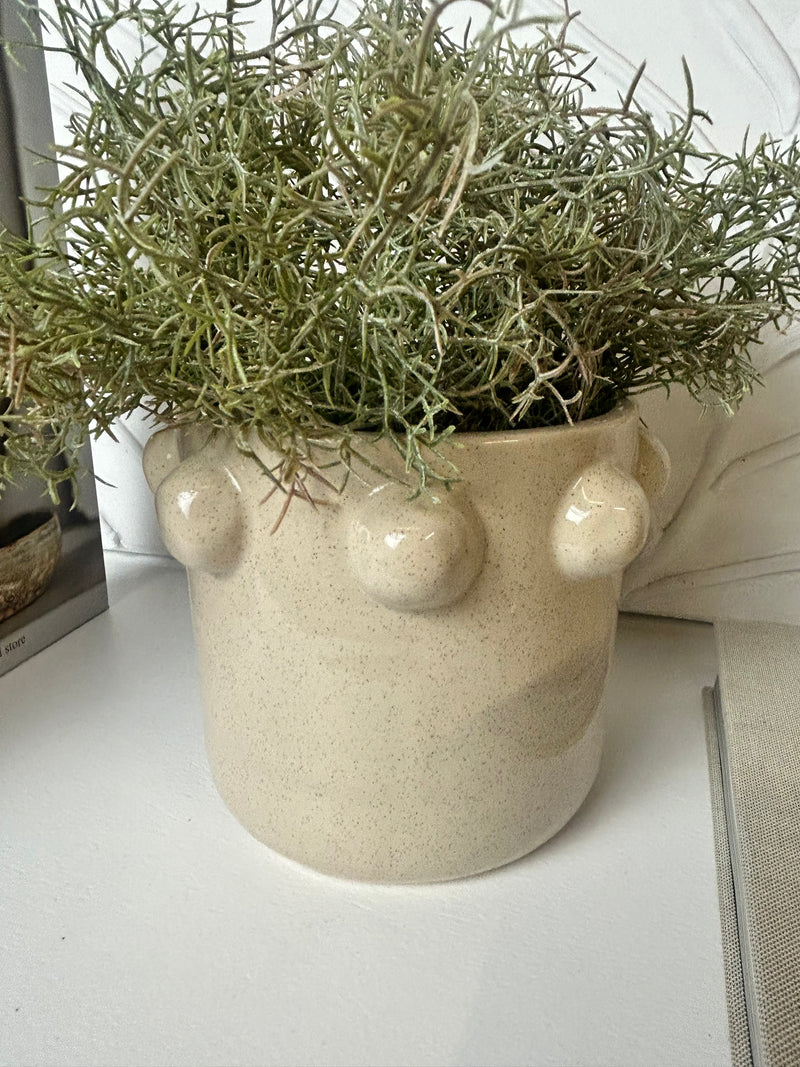 Bottle cream plant pot 16.5cm