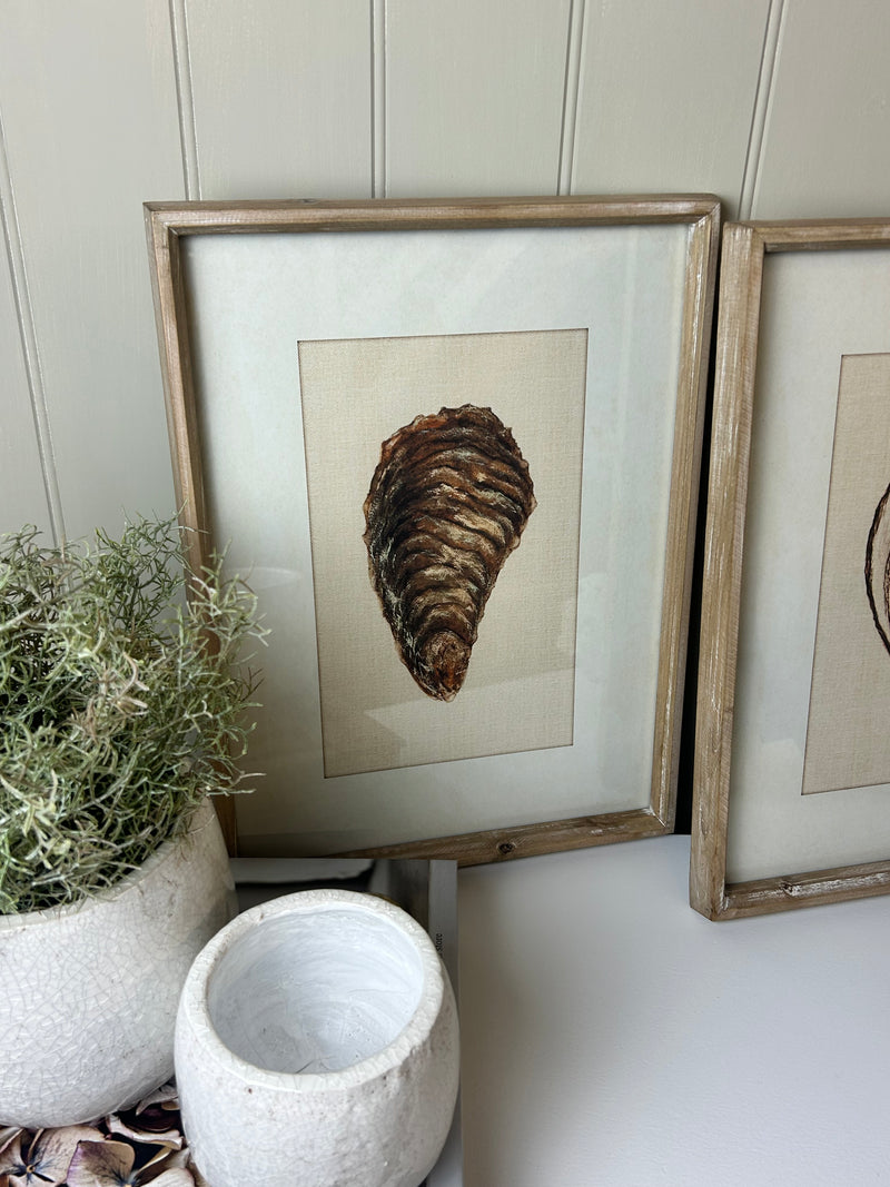 Oyster Shell Light Wood Framed Prints, 2 Styles