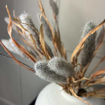 Bunny tail reed spray grey 60cm