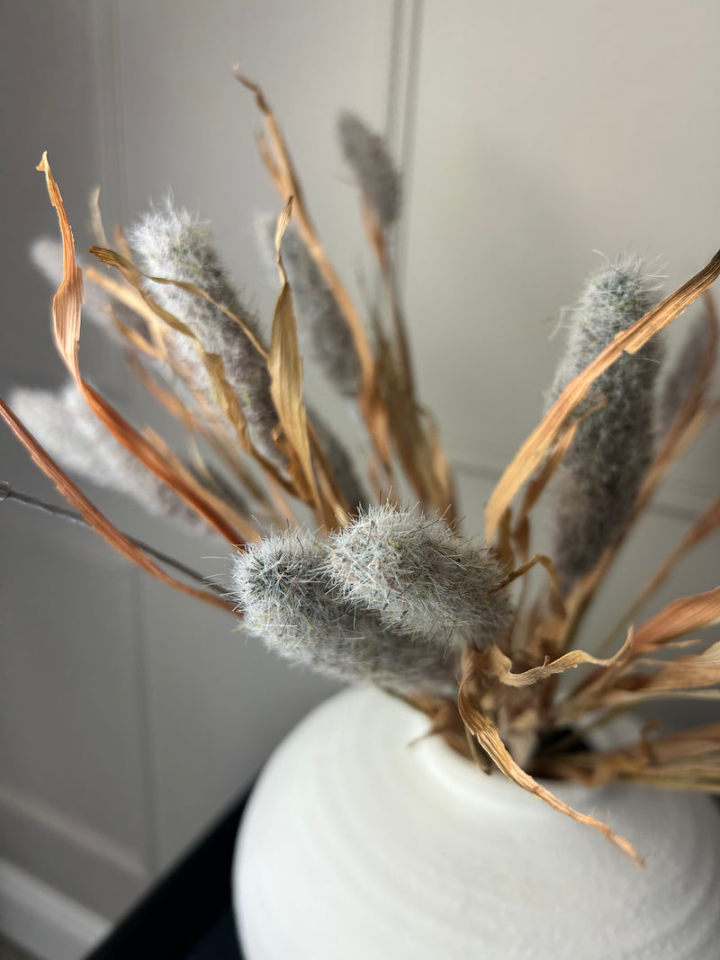 Bunny tail reed spray grey 60cm