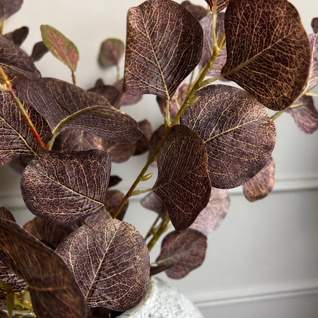Single Burgundy Dollar Eucalyptus Stem 72cm