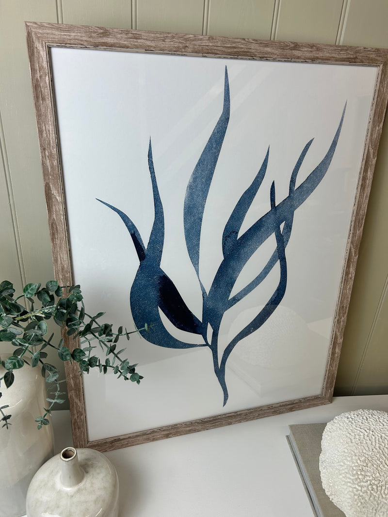 Blue wood framed coral seaweed pictures art 3 styles