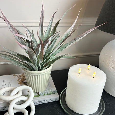 Large Spikey Grass aloe Bunch natural green pick plant