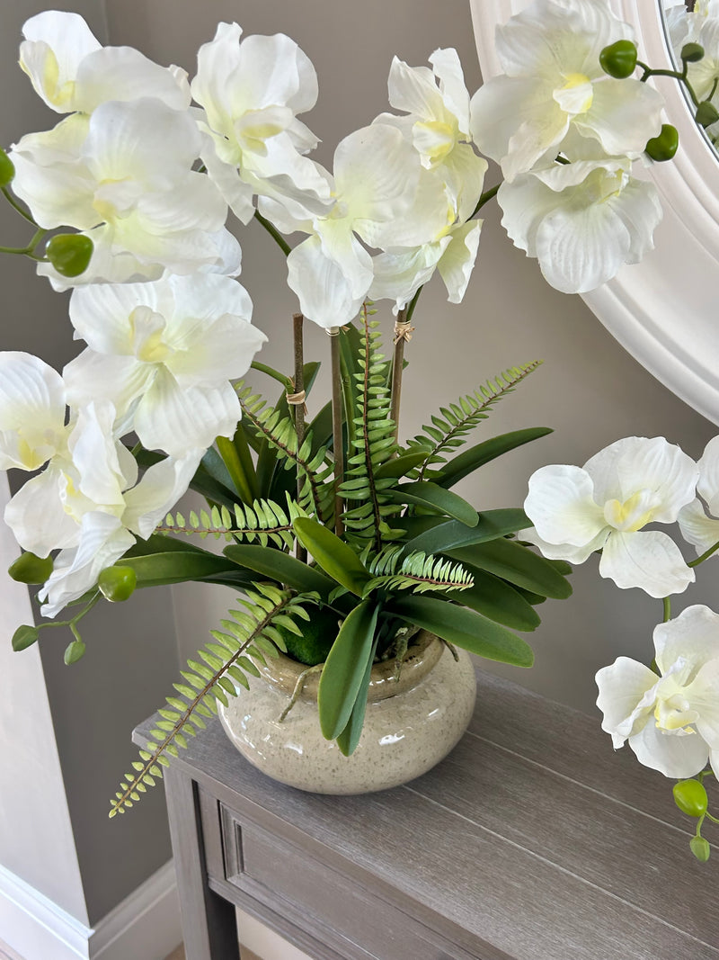 White vanda orchid in ceramic planter pot