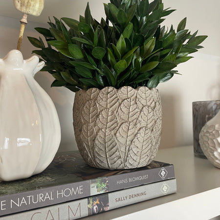 Kaya leaf print plant pots