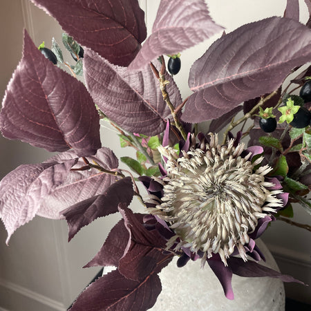 Purple plum aubergine leaf prunus stem