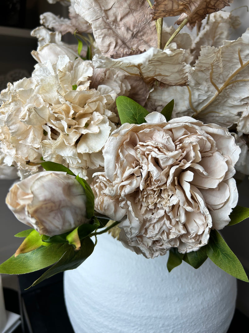 Oyster blush Ruffled Hydrangea Stem