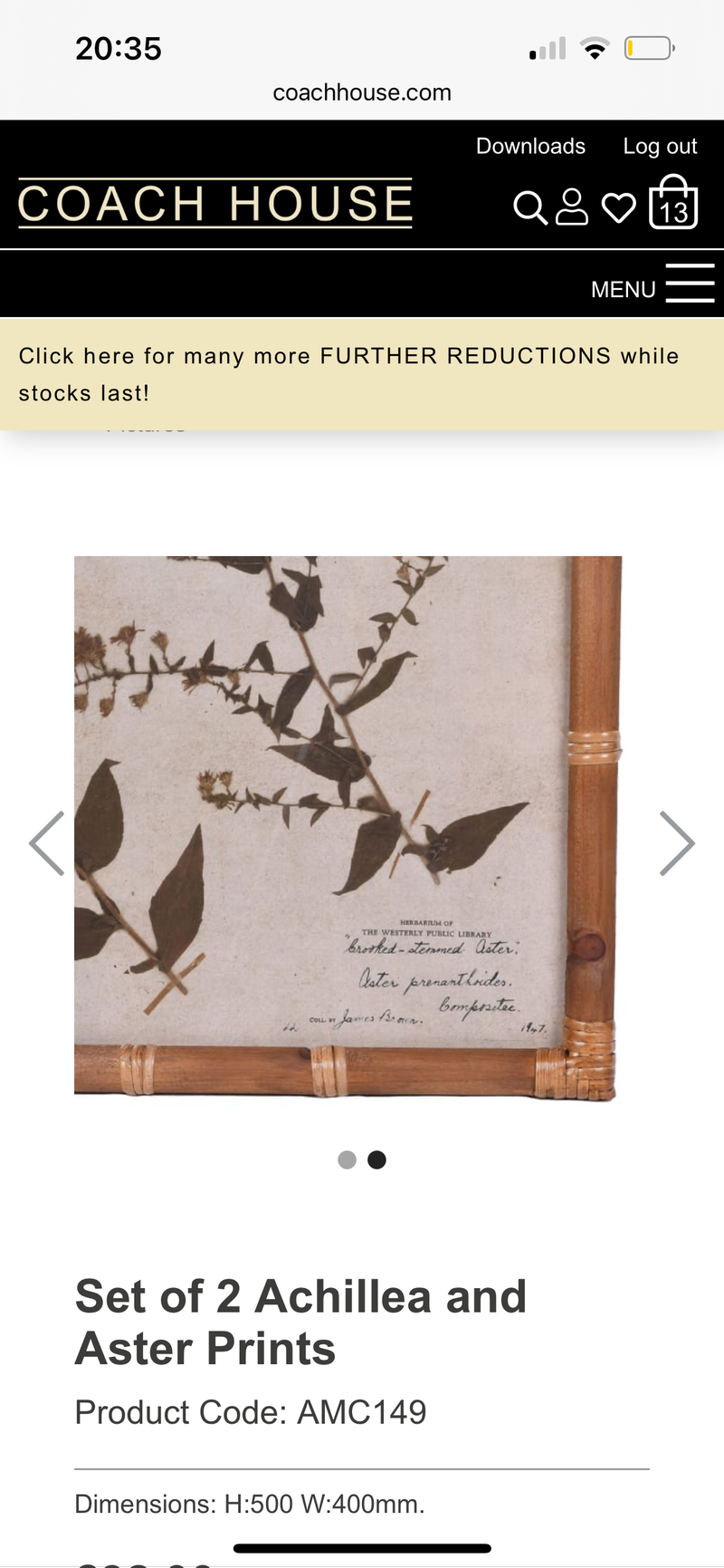 Set of 2 Achillea and Aster botanical floral Prints bamboo textured frame