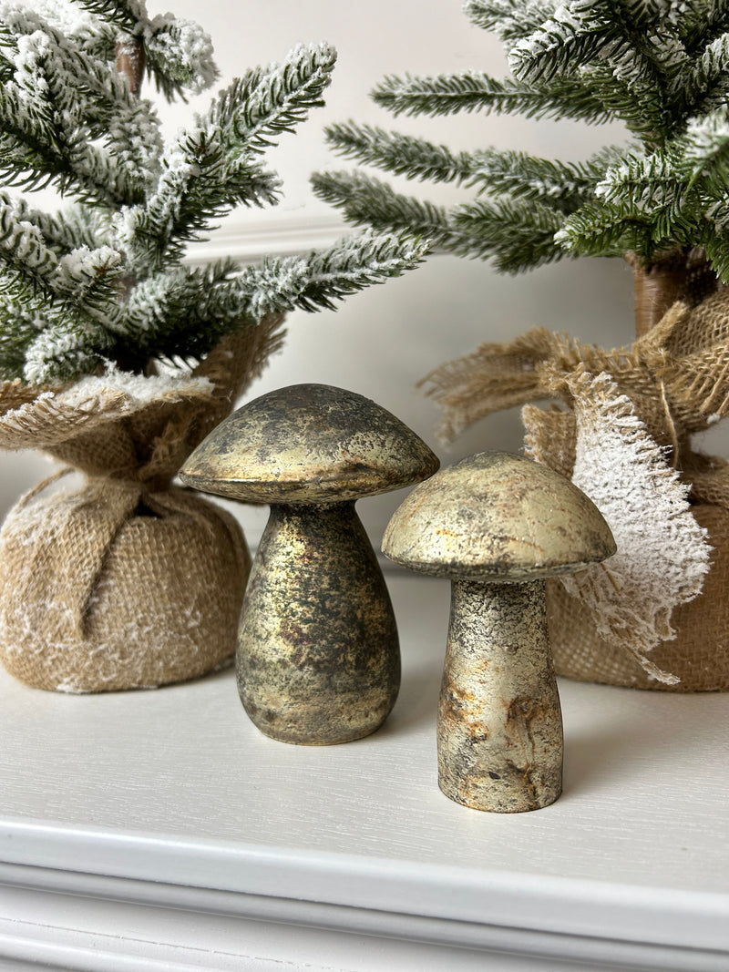 Bronze aged mushroom 2 sizes no