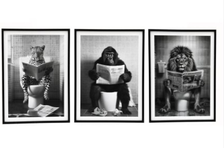 Large Bathroom Black Framed Animal Prints 60cm 3 styles
