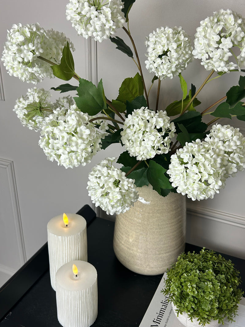 Viburnum Opulus snowball floral stem