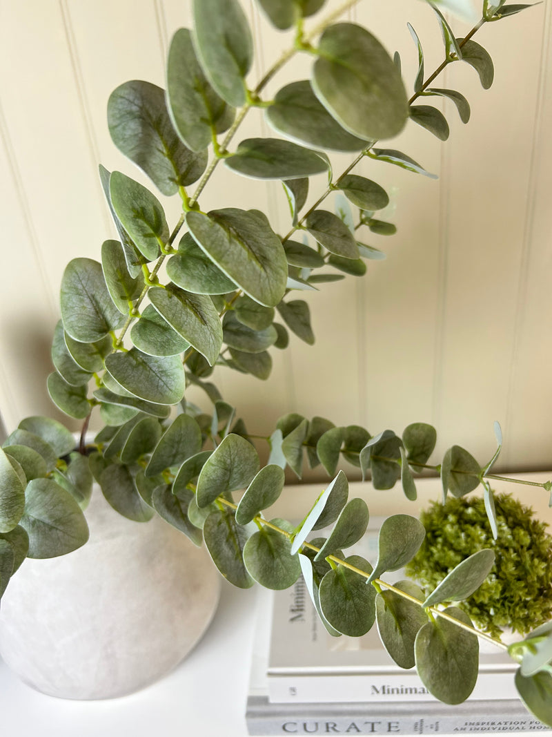 Green washed finish eucalyptus stem triple bunch 80cm