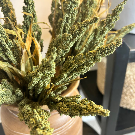 Dried Reed Wheat Green Tied Bunch 40cm