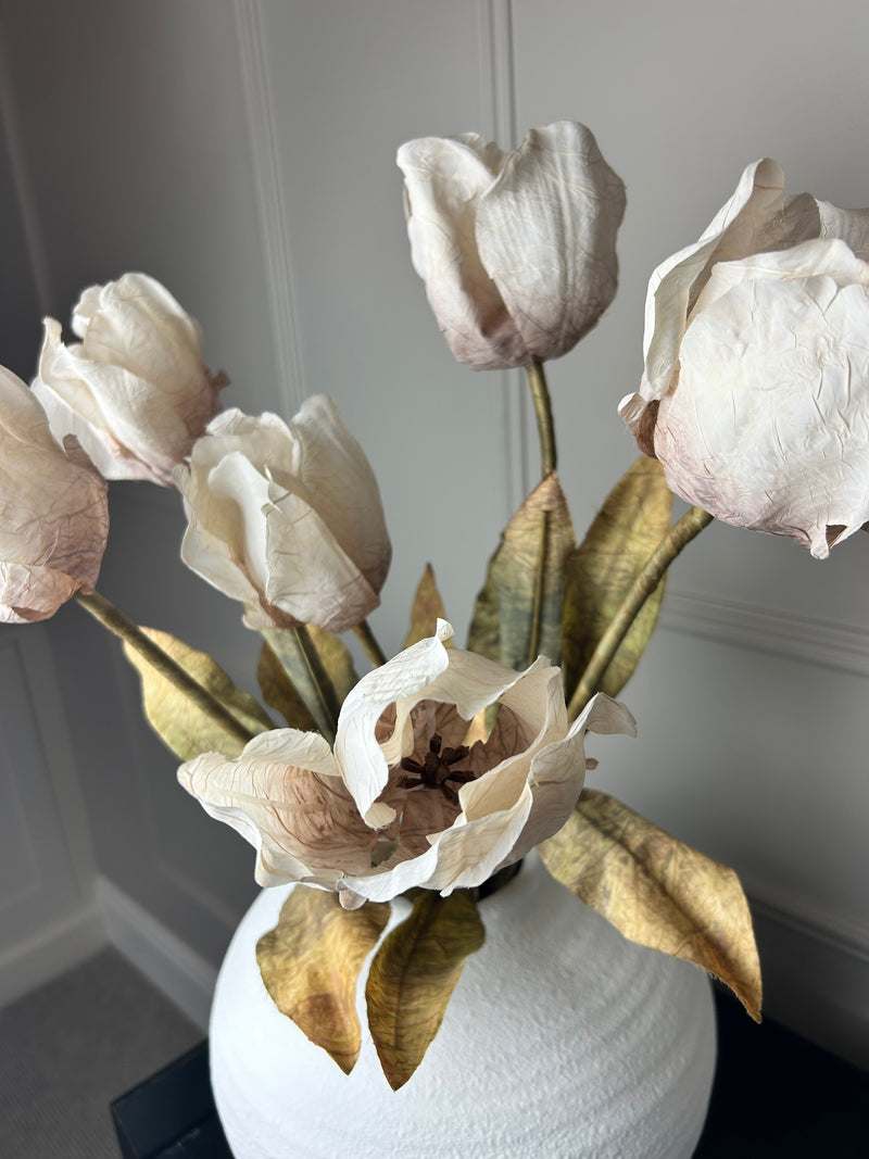 Dried real feel oyster tulip stem 70cm