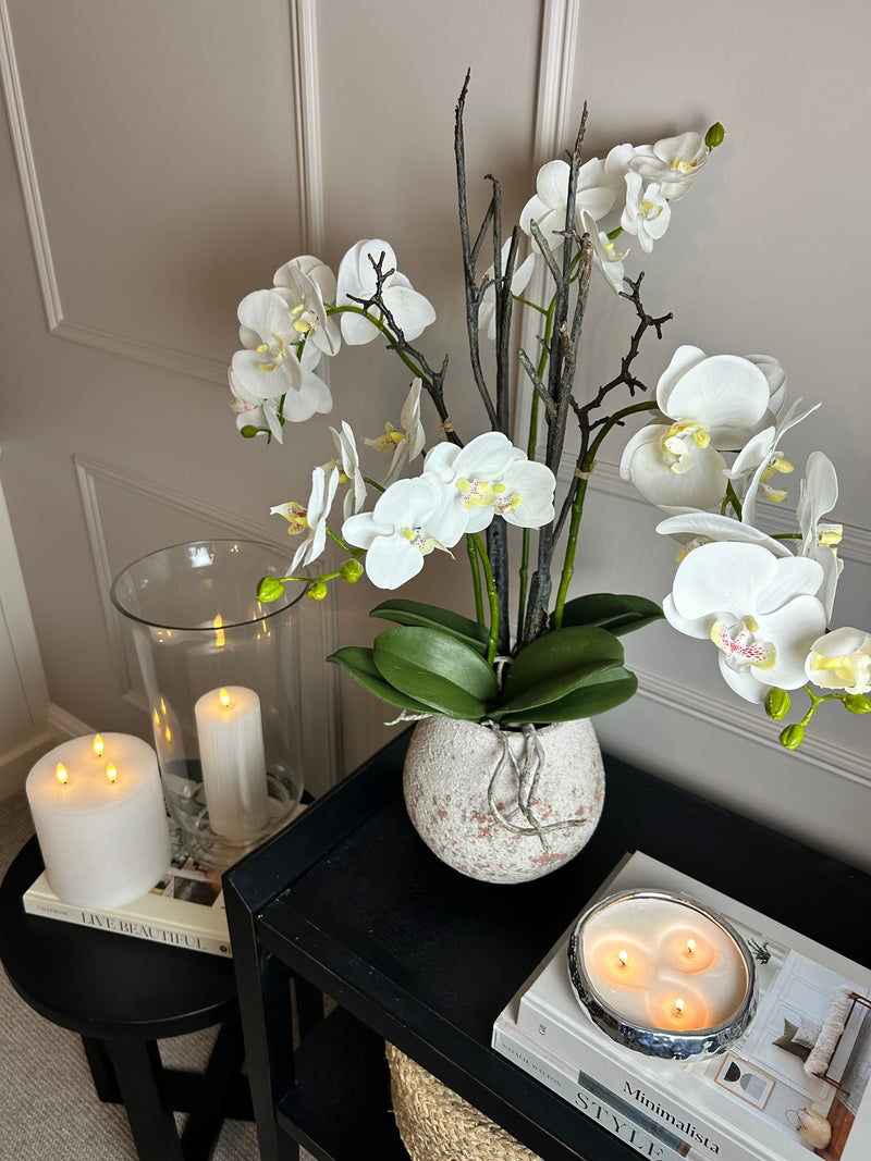 Extra Large White tall orchid in stone pot