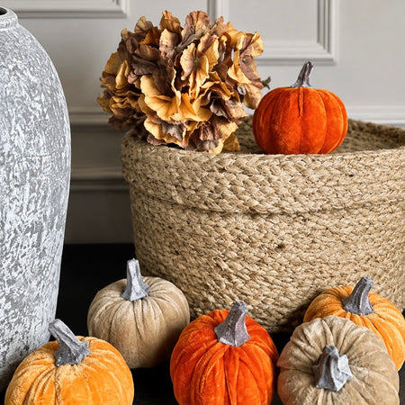 Bag of 6 autumn pumpkins