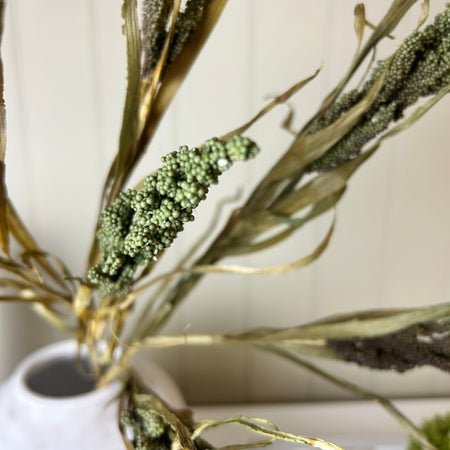 Dried Wheatgrass reed stem bunch green 65cm