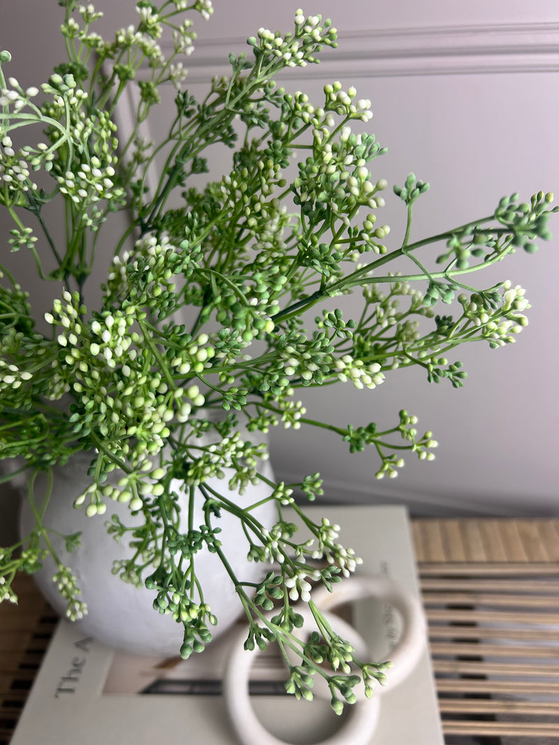 Felicity white bud seed berry bunch stem