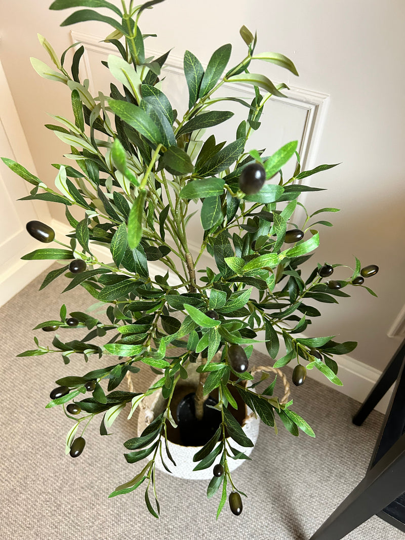 Olive Tree 130cm