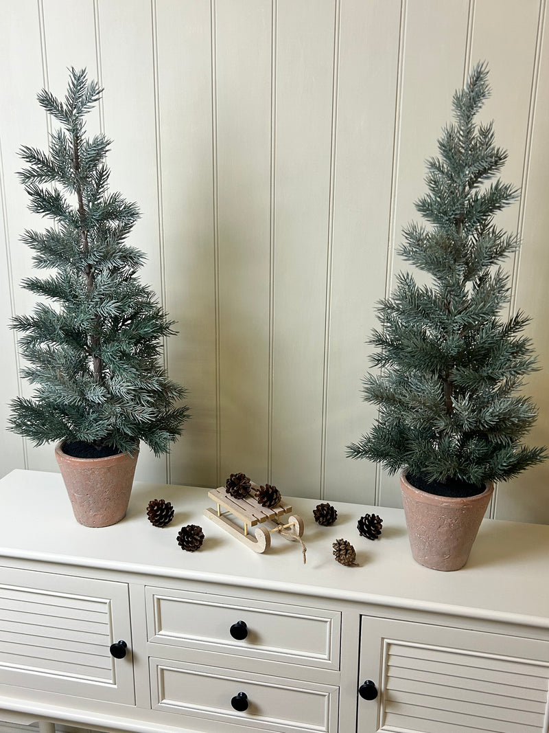 Tall 70cm potted terracotta pine tree