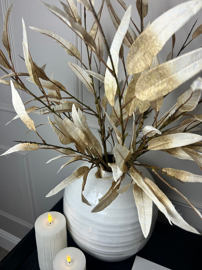 Dried touch Tall oyster slim leaf stem 90cm