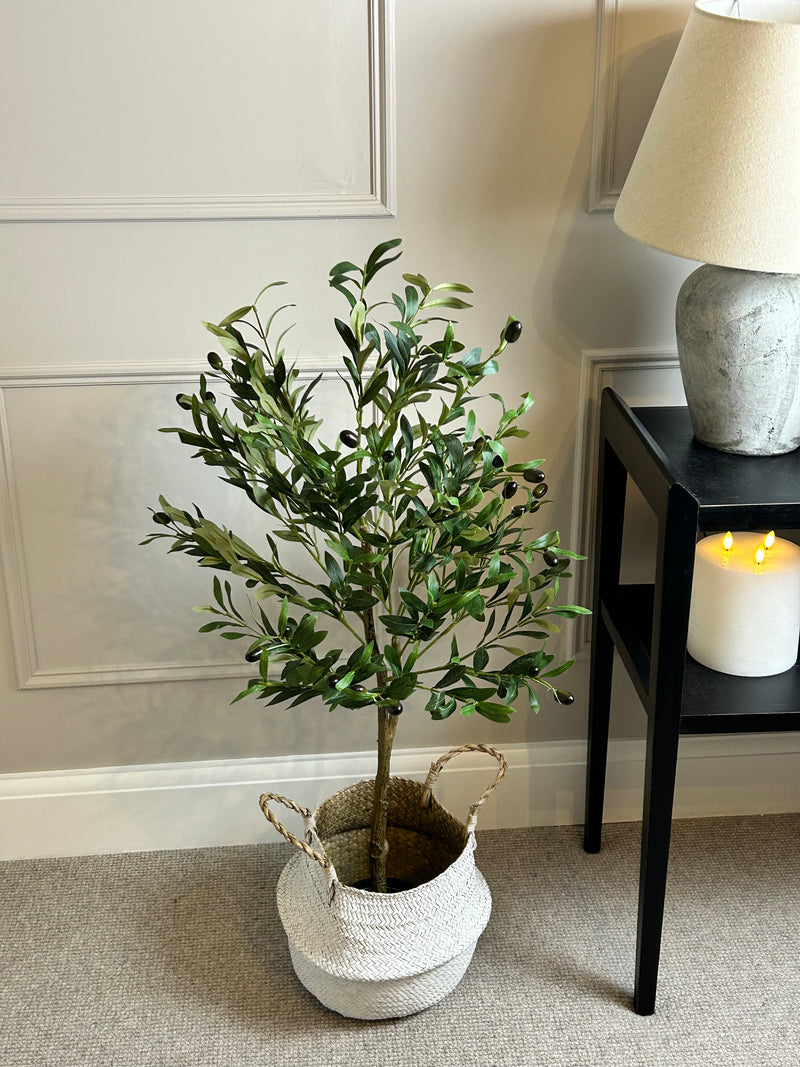 Olive Tree 130cm
