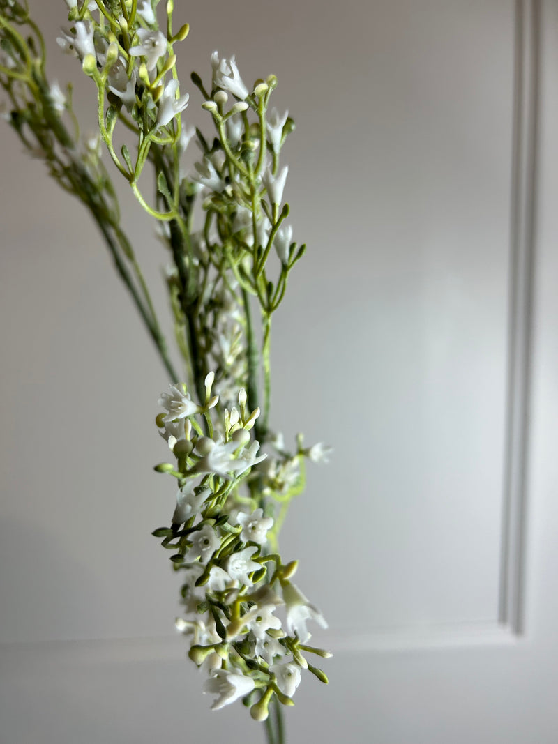 White wildflower stem