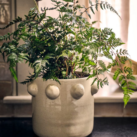 Bottle cream plant pot 16.5cm