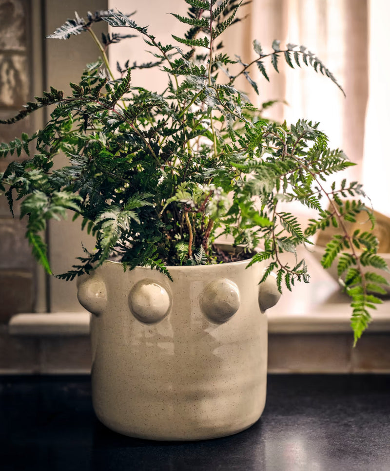 Bottle cream plant pot 16.5cm