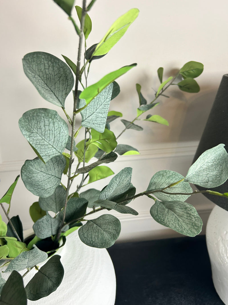 Single stem natural green dollar eucalyptus 72cm