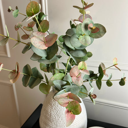 Blush natural Eucalyptus single stem