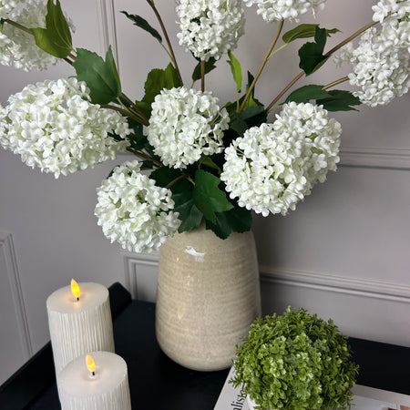 Viburnum Opulus snowball floral stem