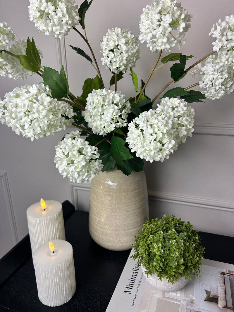 Viburnum Opulus snowball floral stem