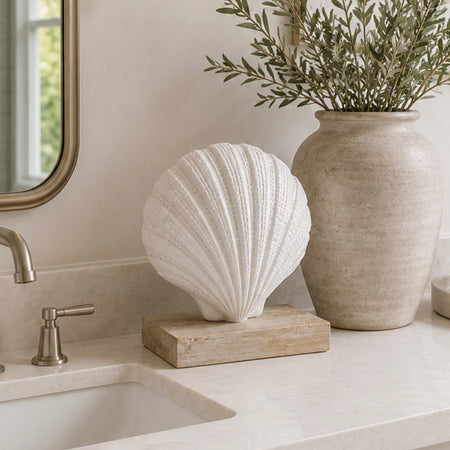 Chunky White Shell on wooden base