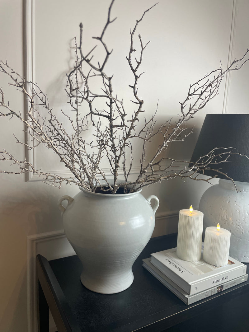 Hawthorn twig Branch