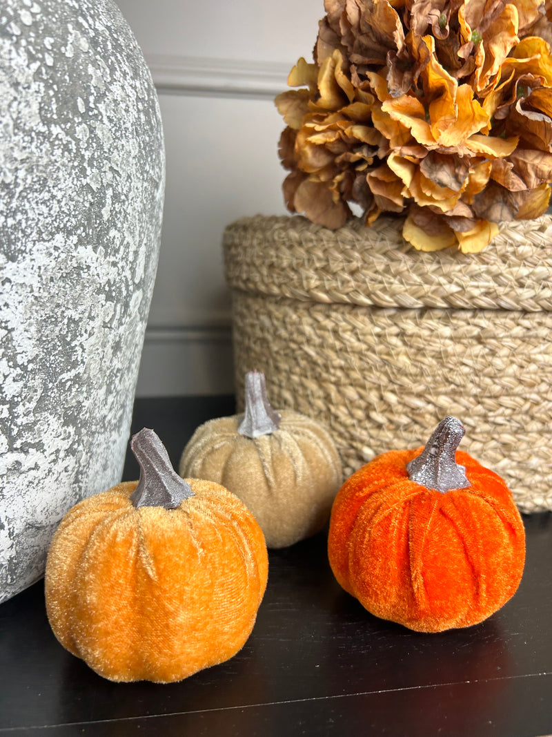 Bag of 6 autumnal pumpkins