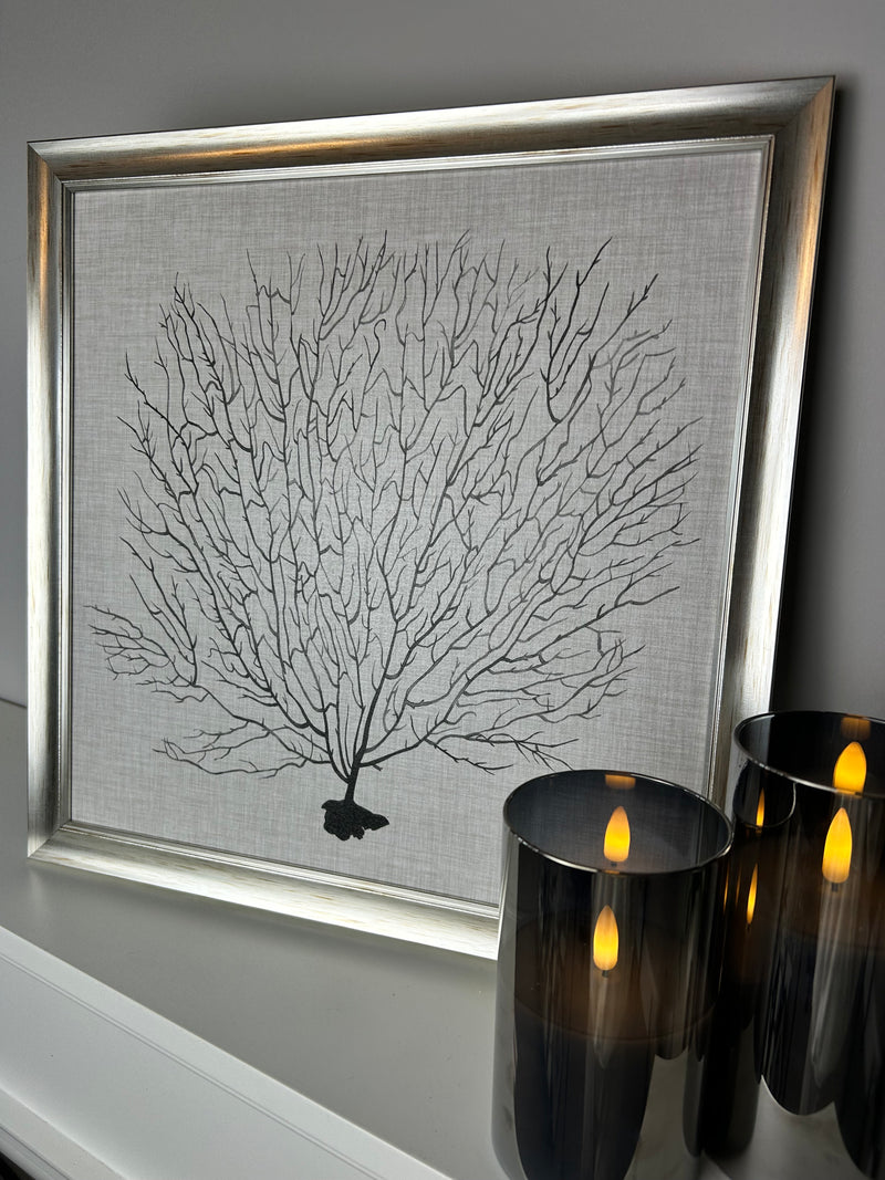 Coral sea fan picture with silver distressed frame by Grace Popp 40x40