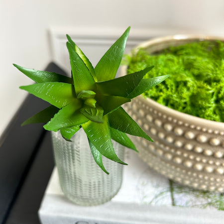 Aloe Vera succulent pick stem