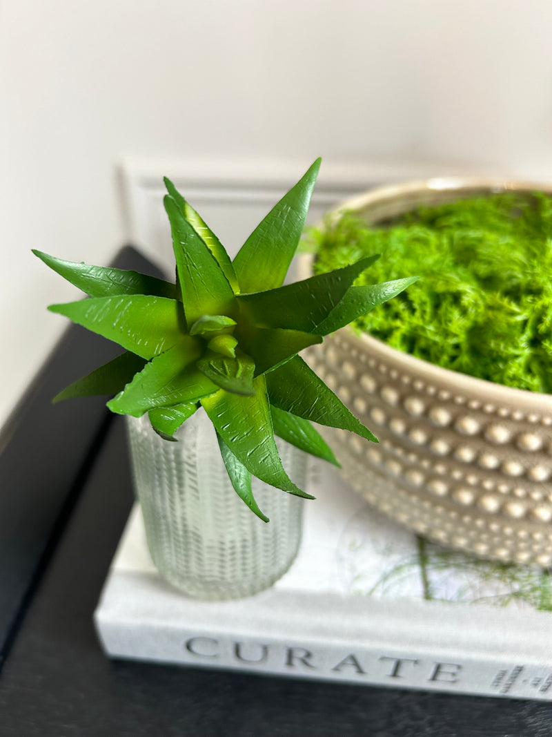 Green natural palm Philadendron spray stem