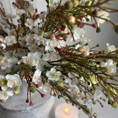 Wax flower bunch spray stem in soft pink 60cm
