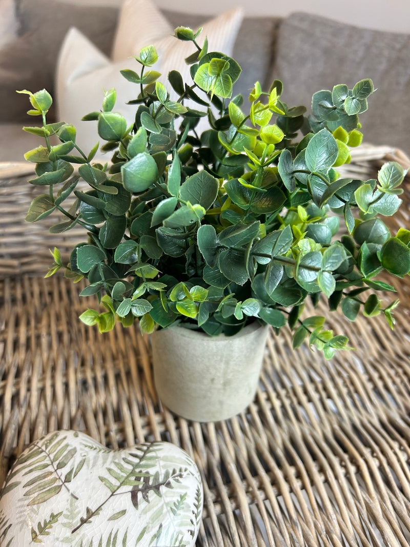 Eucalyptus Bunch in Grey stone Pot