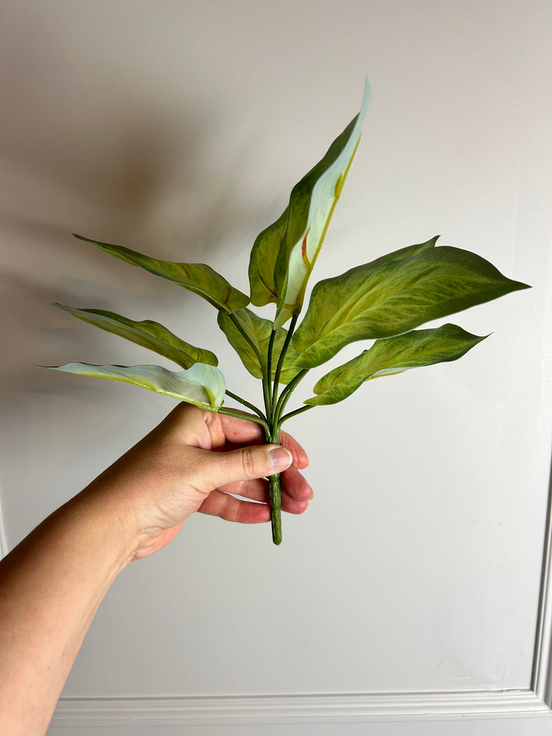 Variegated Printed Pothos Leaf Bunch pick plant