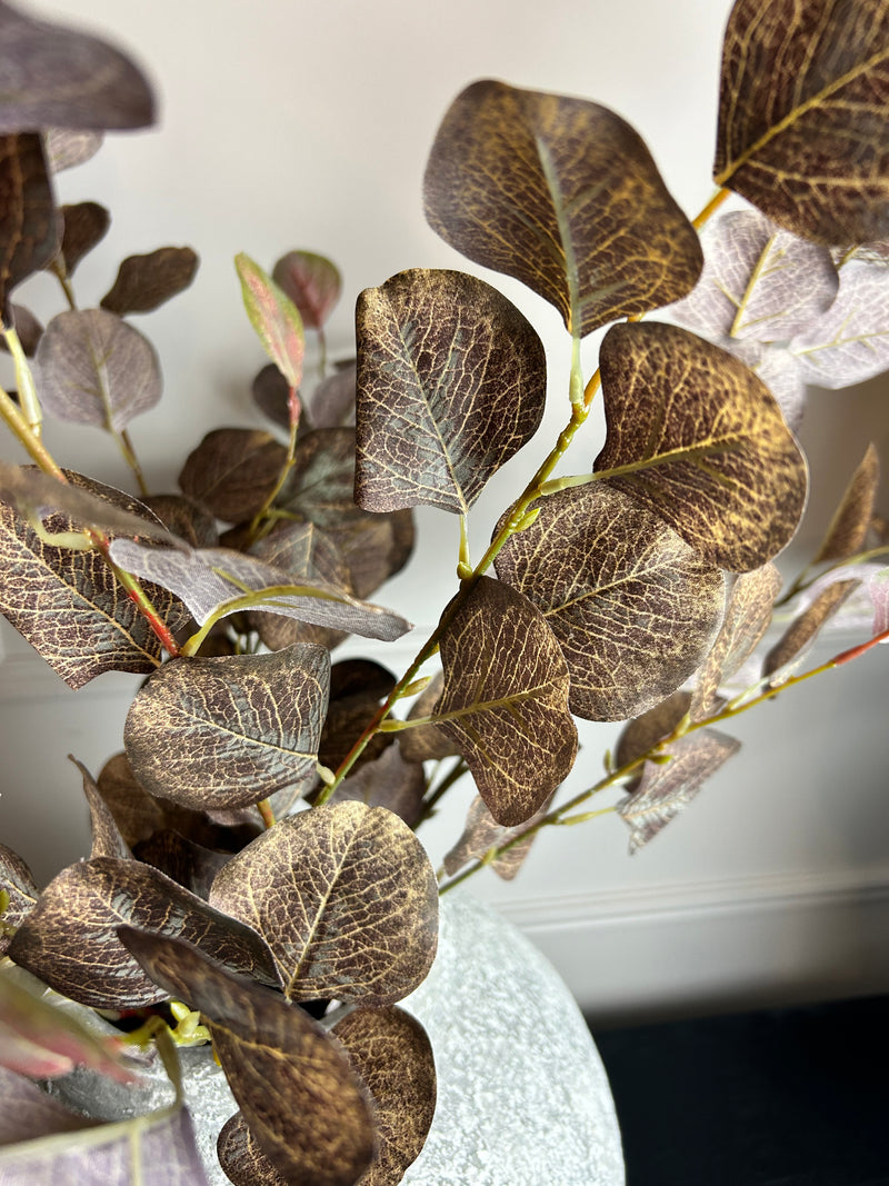 Single Burgundy Dollar Eucalyptus Stem 72cm