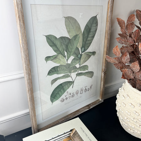 Large Botanical perennial rustic wooden framed prints 4 styles
