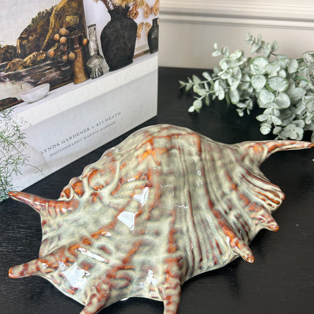 Spider conch ceramic shell decoration brown