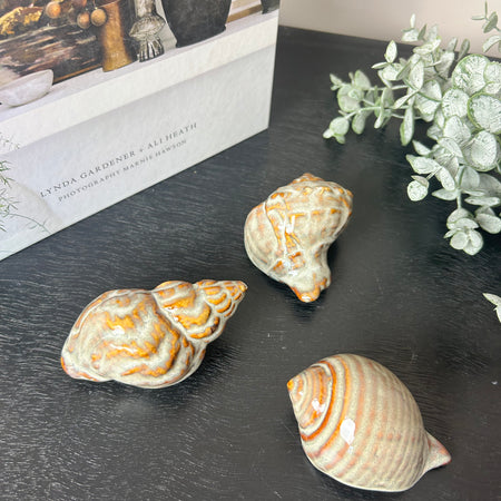 Set of 3 ceramic shells