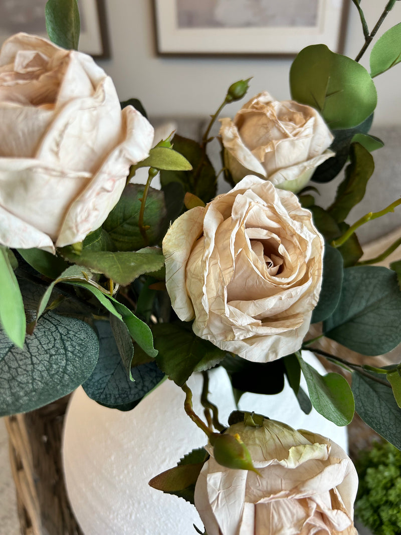 Oyster Dried Touch Single Valera Rose